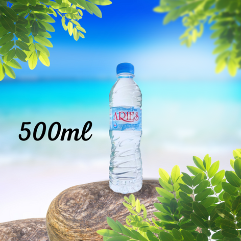Lốc suối 500ml (24 chai) - Nước Uống Tinh Khiết Aries - Công Ty TNHH Sản Xuất Thương Mại Chính Văn